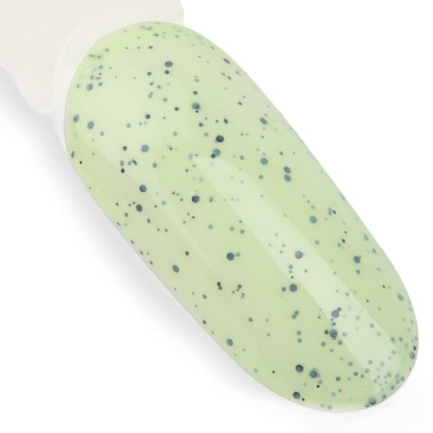 Pikaajaline geellakk NTN Premium 184, 5 g